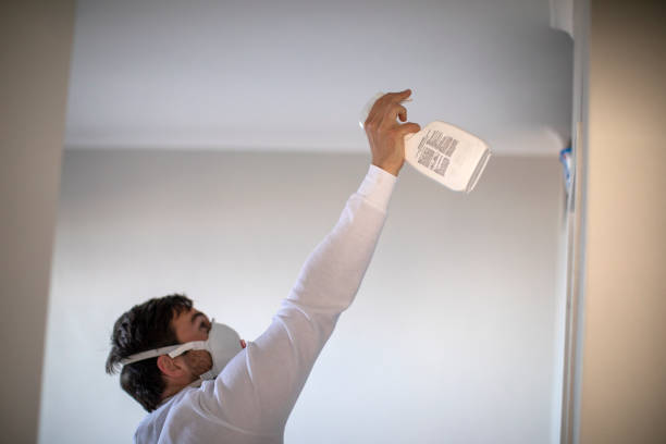  Bucyrus, OH Mold Removal Pros