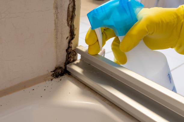 Best Office Mold Removal Services  in Bucyrus, OH