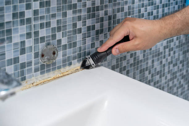 Professional Mold Removal in Bucyrus, OH