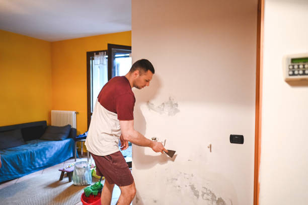 Best Attic Mold Removal  in Bucyrus, OH